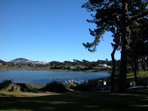 Lake Merced - SF