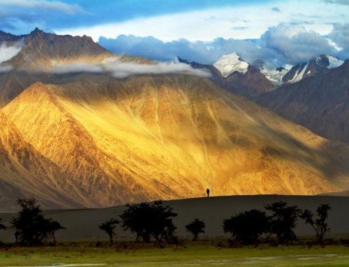 Best Summer Destinations in India to Beat the Scorching Sun