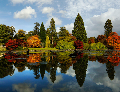 Best Autumn Destinations You Ought to Check Out