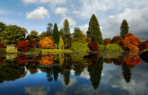Sheffield Park Garden - Best Autumn Destinations