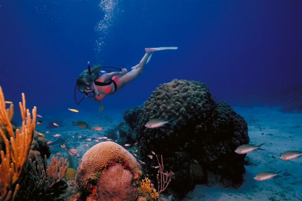 Best Diving Destinations